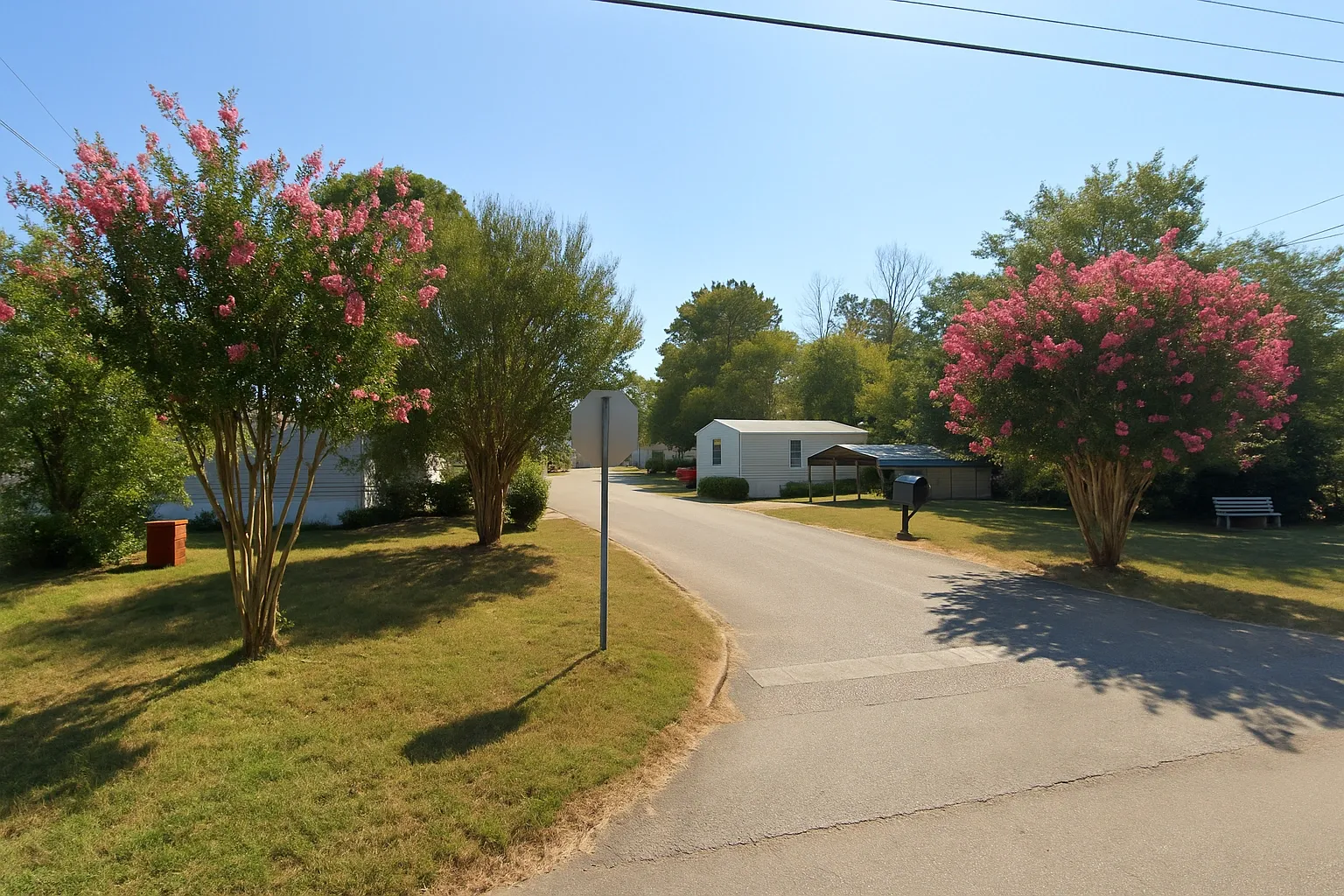 Bentworth Pines Community View